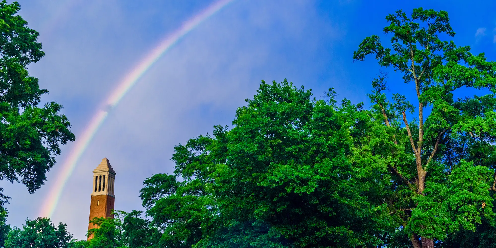 Rainbow over Denny Chimes